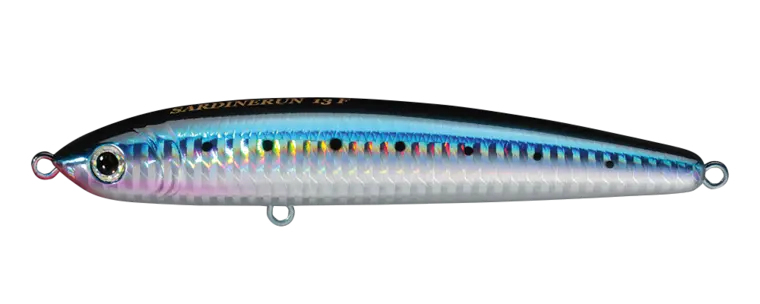 Smith Sardine Run