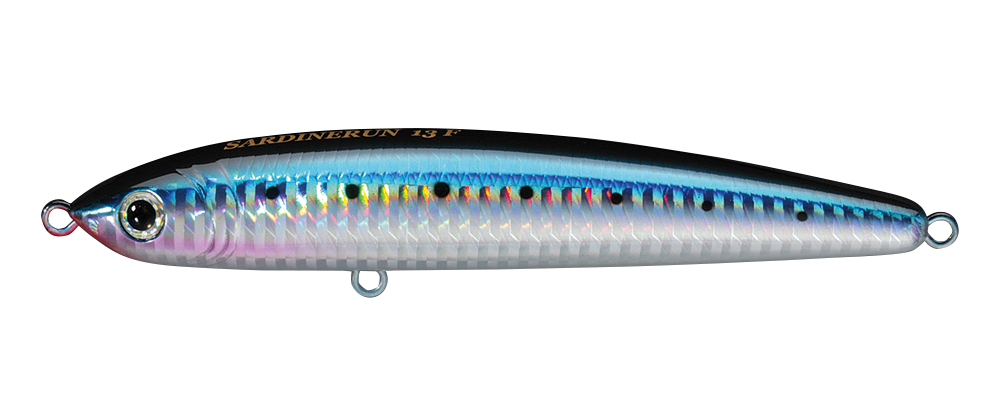 Smith Sardine Run