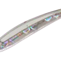 26 Abalone Shirasu