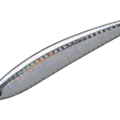 06 TACL