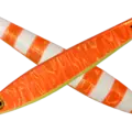 12 Orange CH Zebra