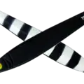 13 Matt BK Zebra