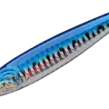 01 Blue Iwashi