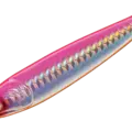 19 Pink Orange Belly