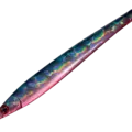 04 Katakuchi Red Belly