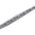 19 Border Abalone