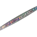 13 Border Abalone