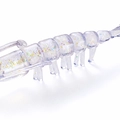 UVR