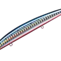 03 Iwashi Red Belly
