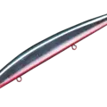 04 Katakuchi Red Belly