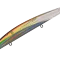 22 Ikanago