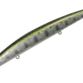 30 LUR Smolt