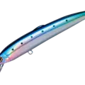 03 SD