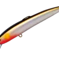 33 AYL