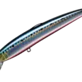 40 Iwashi Red Belly