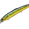 06 Green Gold Shell