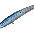 19 Clear Iwashi