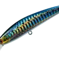 03 Maiwashi