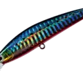 04 Iwashi Red Belly