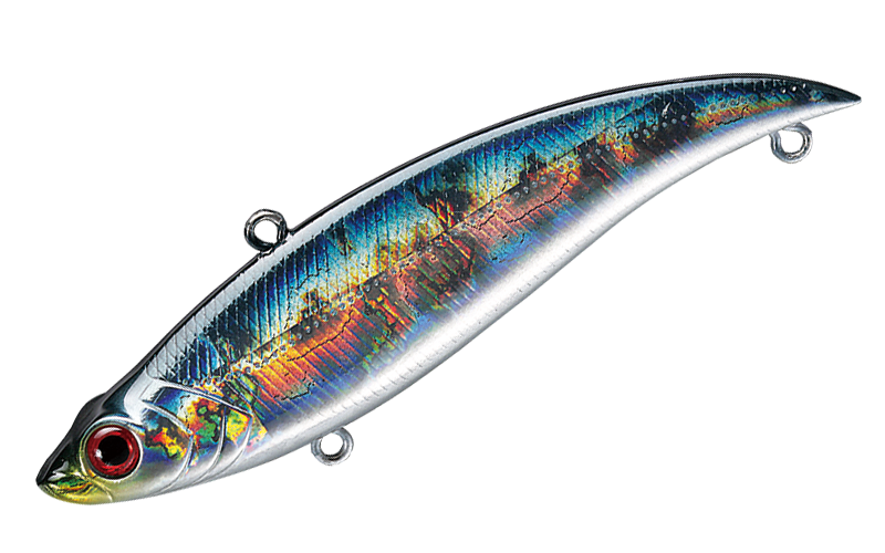 Smith Bayblue