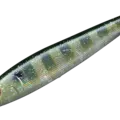 04 Ghost Gill