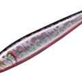 06 Katakuchi Red Belly