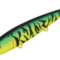 08 KOZ Tiger