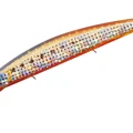 Aikuru Oily Clear Bait PC00