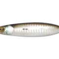 Katakuchi