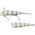 Tachiuo Glow Stripe