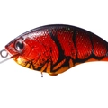 Dazzler Red Claw L08