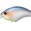 Blue Fish F30