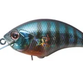 Buruburu Gill H45