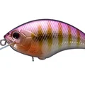 Purple Gill PH45
