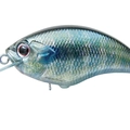 Real Gill RP45