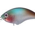 Dark Shad C47