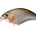 Matte Shad M47
