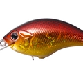 Gold Fire SH48