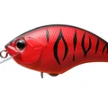 Red Tiger P50
