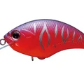 Sunset Tiger PP50
