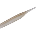 Wakasagi TW101