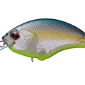 GS Jade Shad Chart Belly GG64