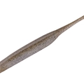 Green Pumpkin Shad TW114