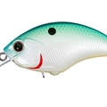 Citrus Shad C84