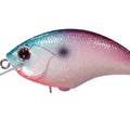 Aurora Shad L85