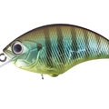Matte Gill M95