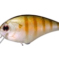 TG Sun Fish TG03