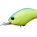 Chartreuse/Blue Back P07