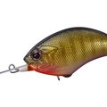 Dazzler Baby Gill L16
