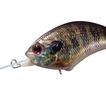 Real Gill Ver.2 RP16